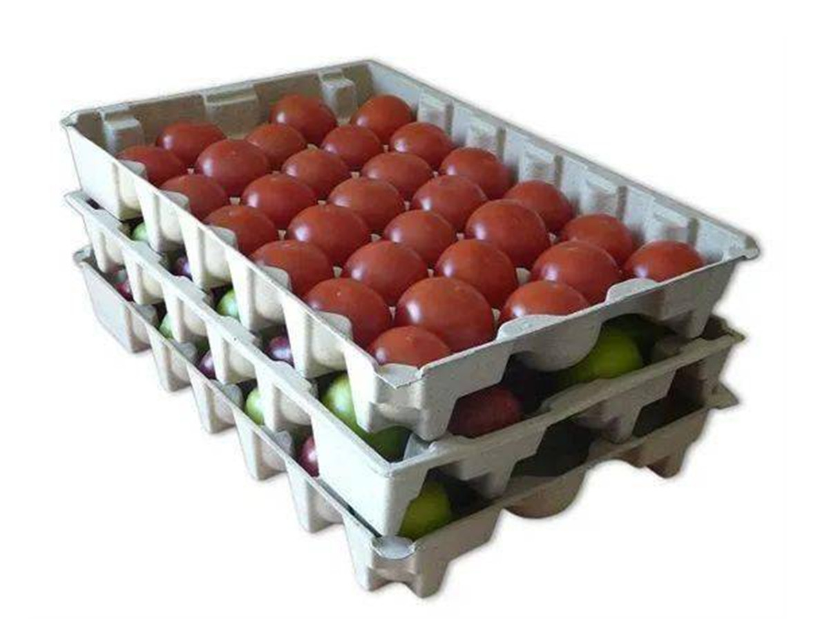 Application of pulp molding products01 (2)