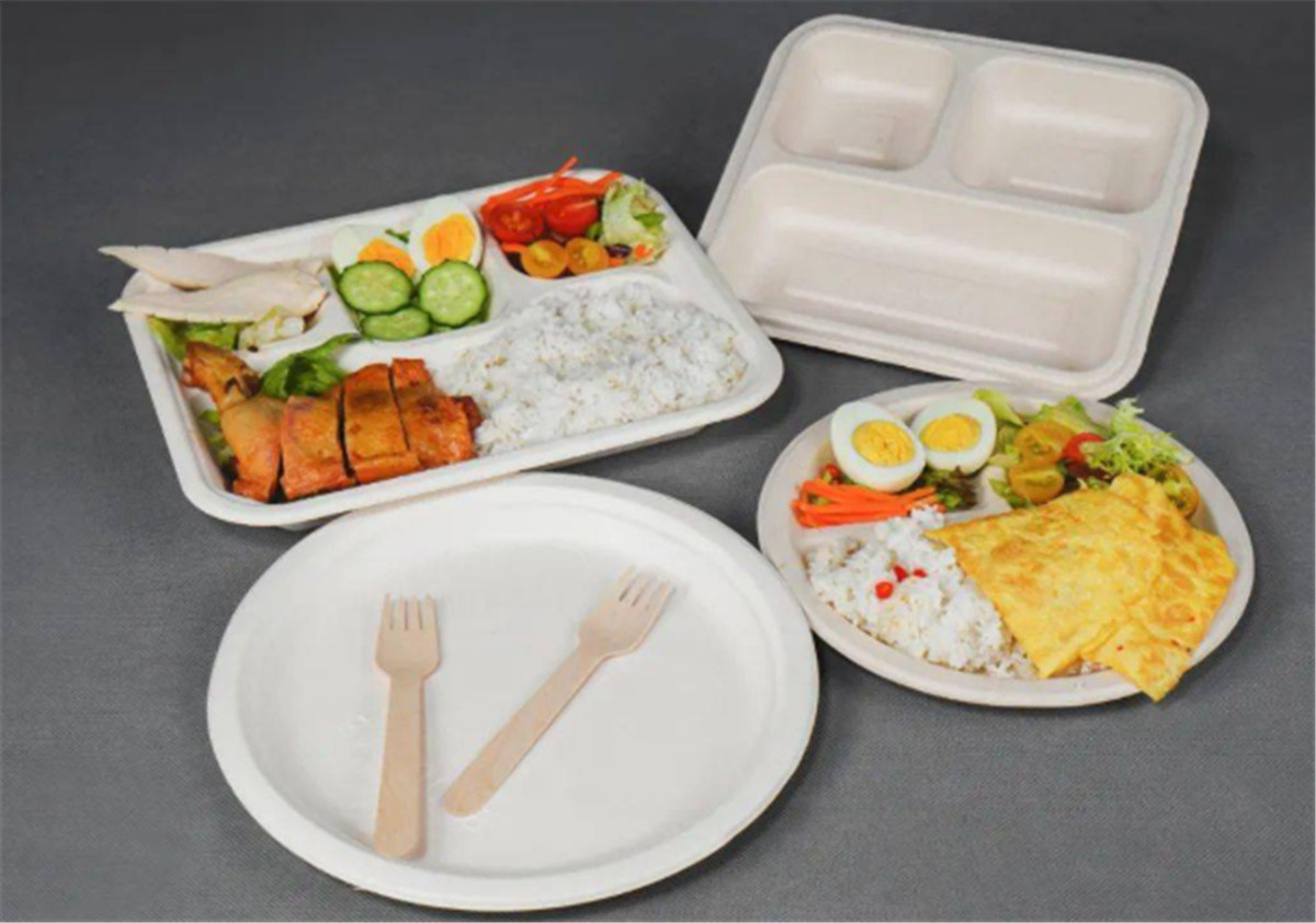 Application of pulp molding products01 (5)